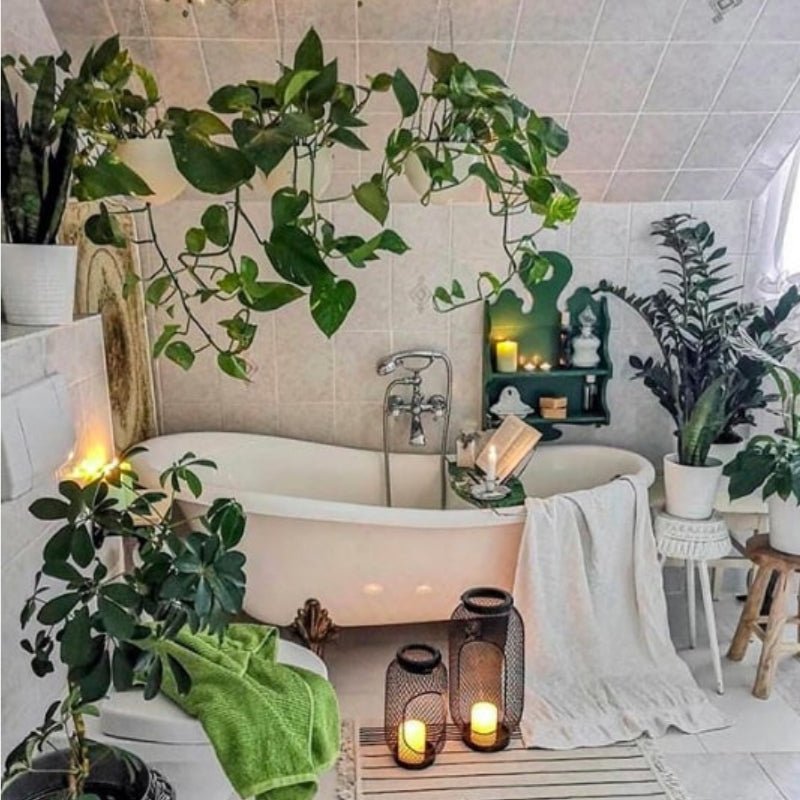 Zero Waste Bathroom Guide (7 Easy Steps To Achieve Your Bathroom Haven ... - Zero Waste Bathroom Zero To Hero Guide