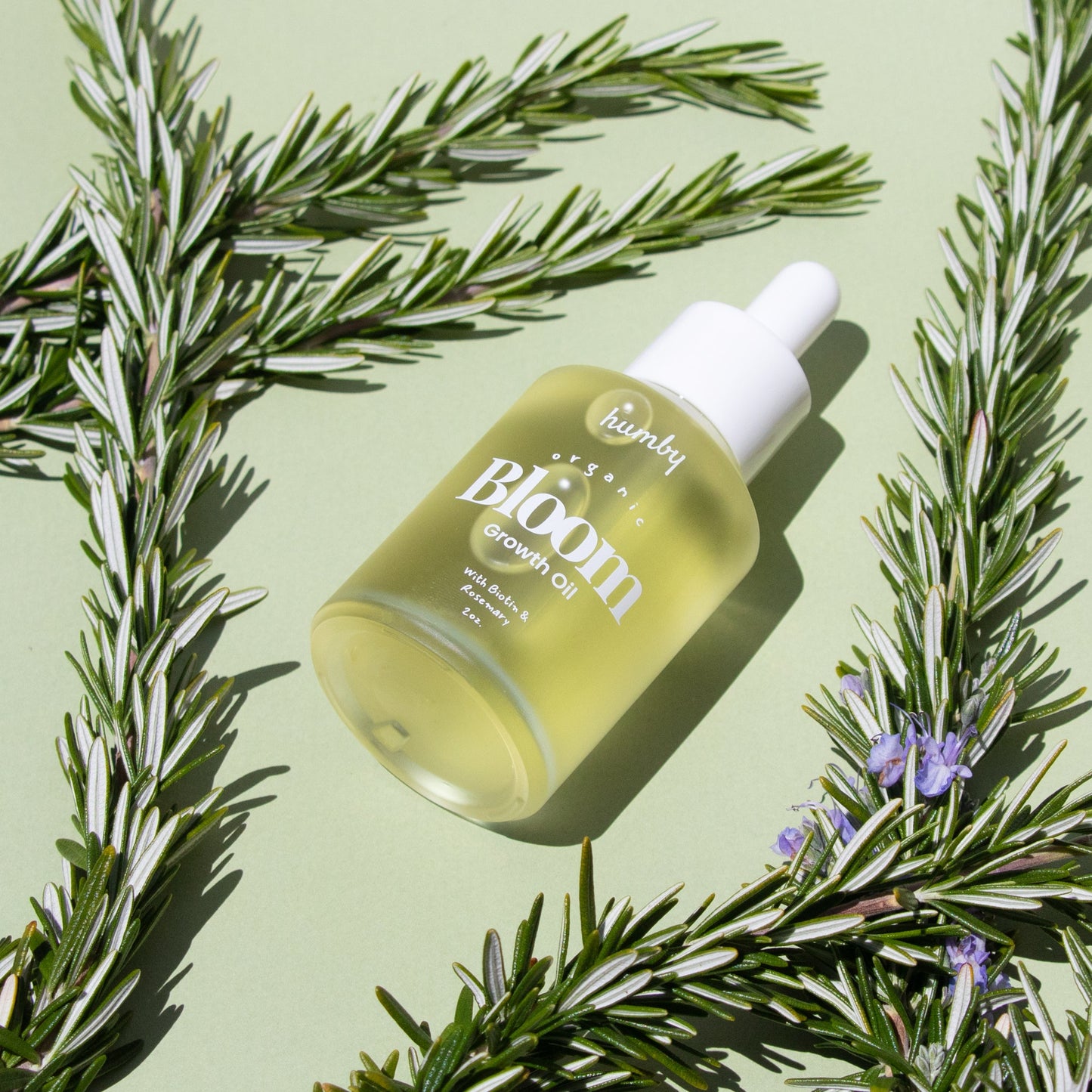 Hair Growth Hero Bundle - Zero Waste Cartel
