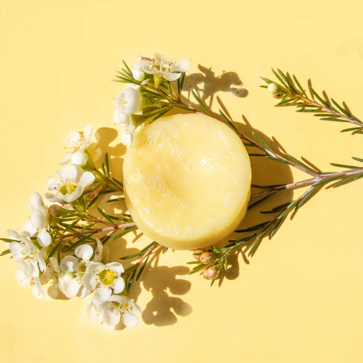 Conditioner Bars by Humby - Zero Waste Cartel