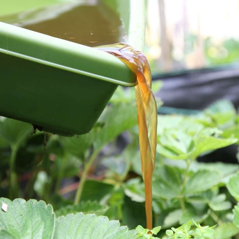 The Best Compost Bin - Hungry Bin - Zero Waste Cartel
