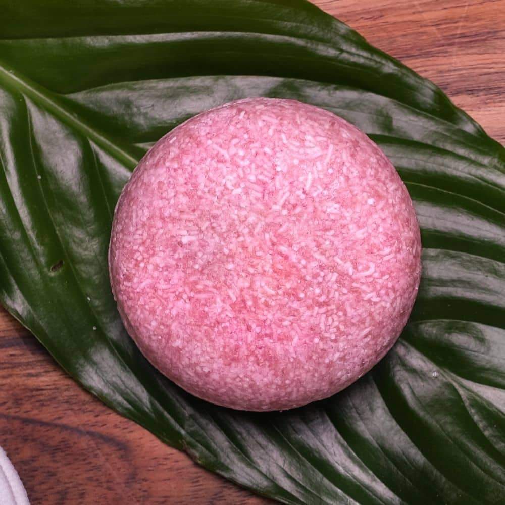 Vanilla Coconut - Shampoo Bar | Humby Organics - Zero Waste Cartel