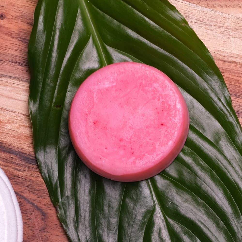 Vanilla Coconut - Shampoo & Conditioner Bundle | Humby Organics - Zero Waste Cartel