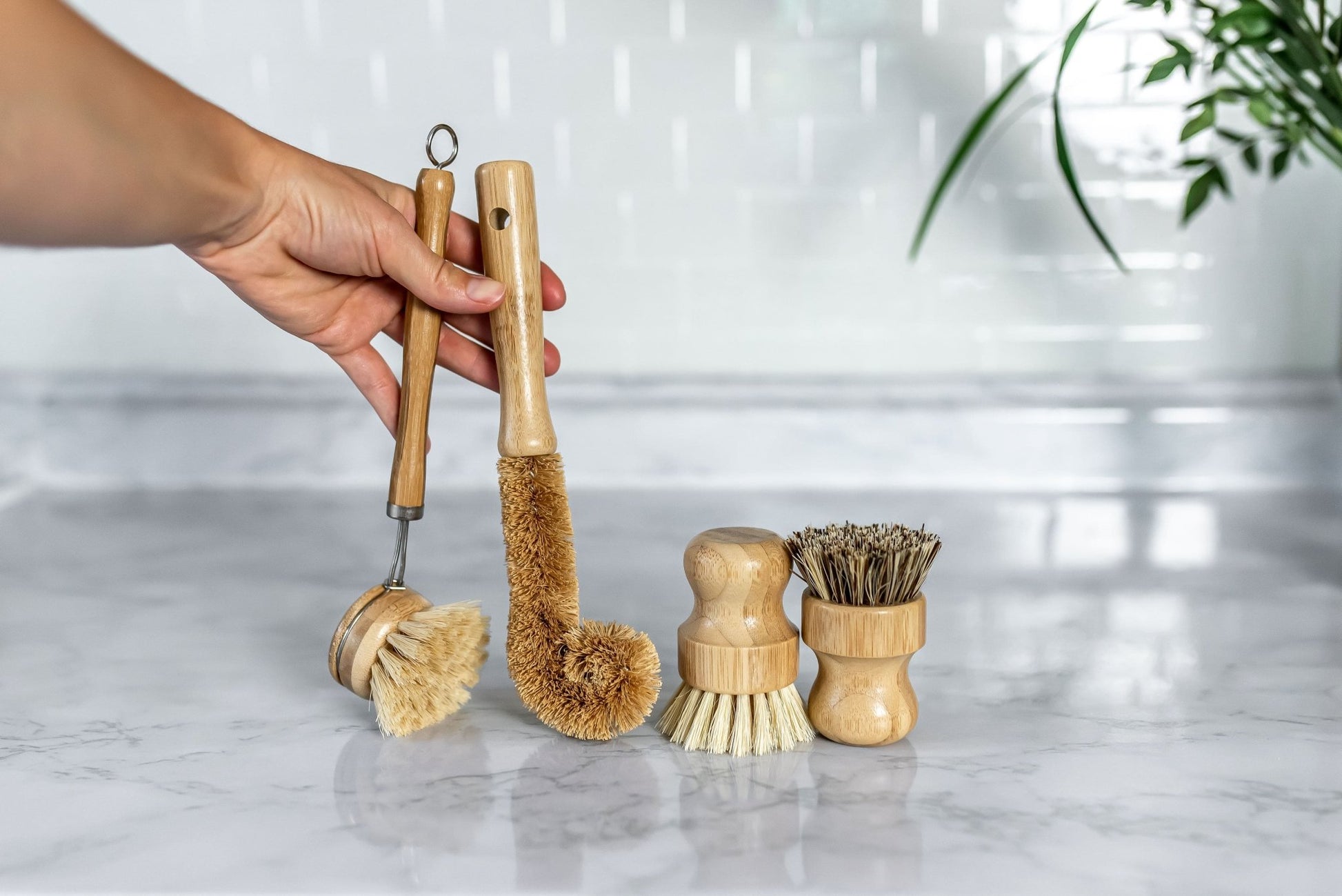 Zero Waste Kitchen Kit - Wooden Dish Brushes (4-Pack) - Zero Waste Cartel