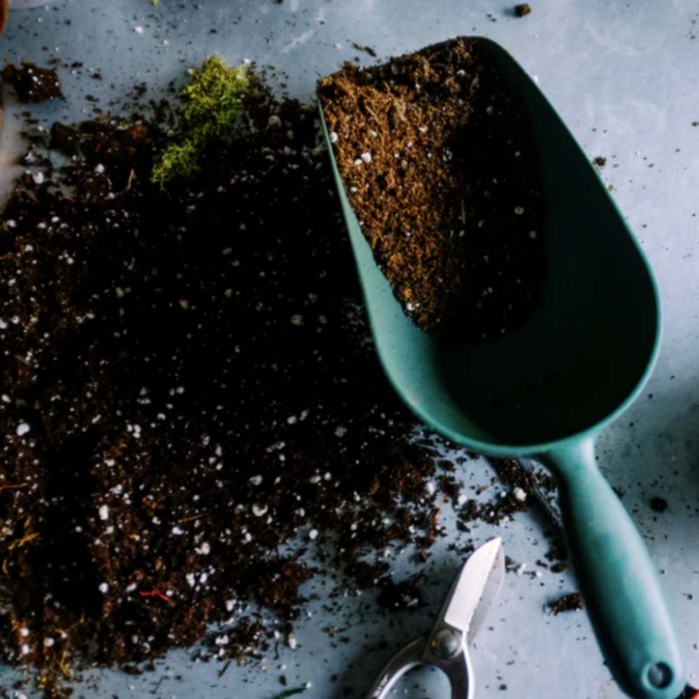 The Compost Bible. Everything you need to know about starting a compost in 2021 - Zero Waste Cartel