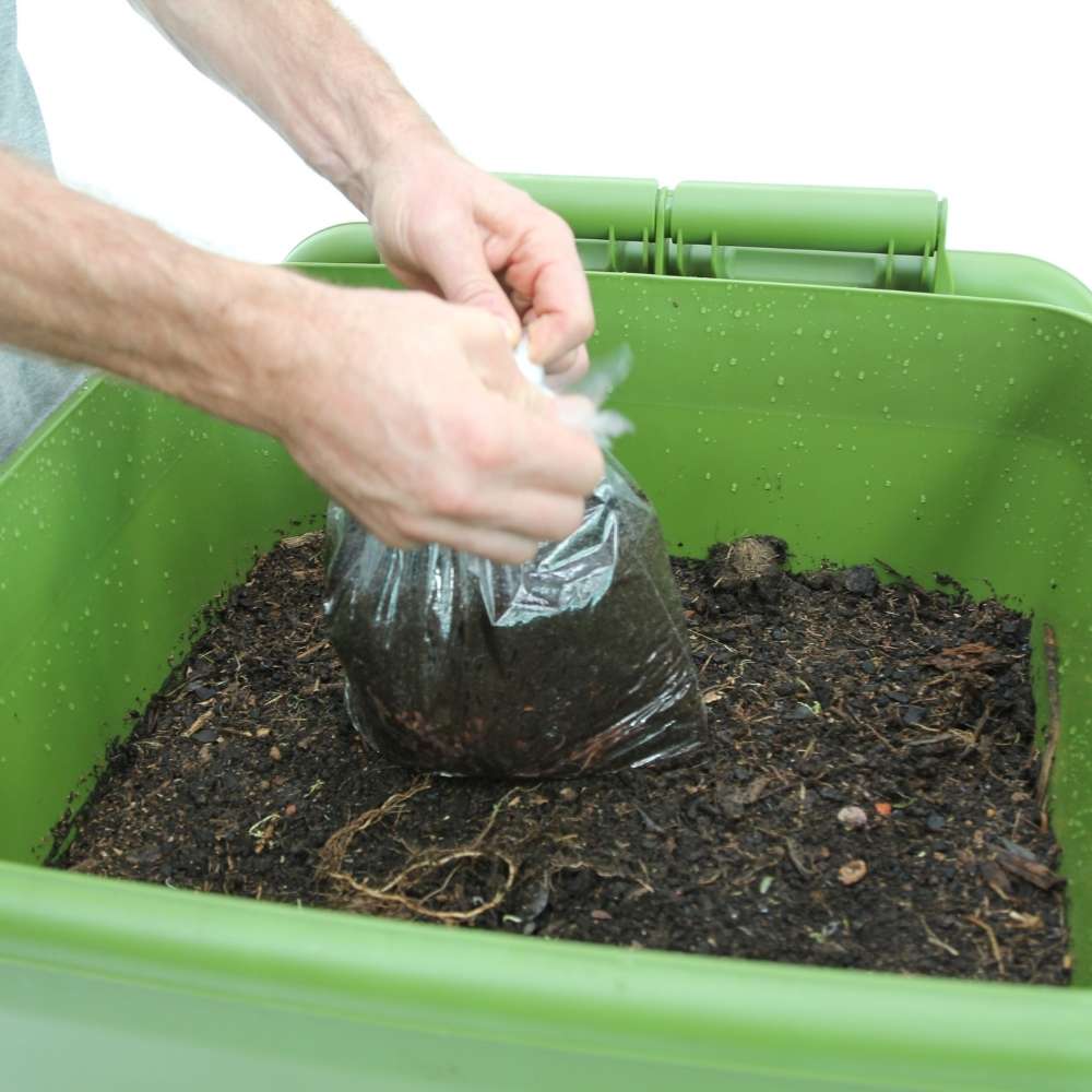 The Best Compost Bin - Hungry Bin - Zero Waste Cartel
