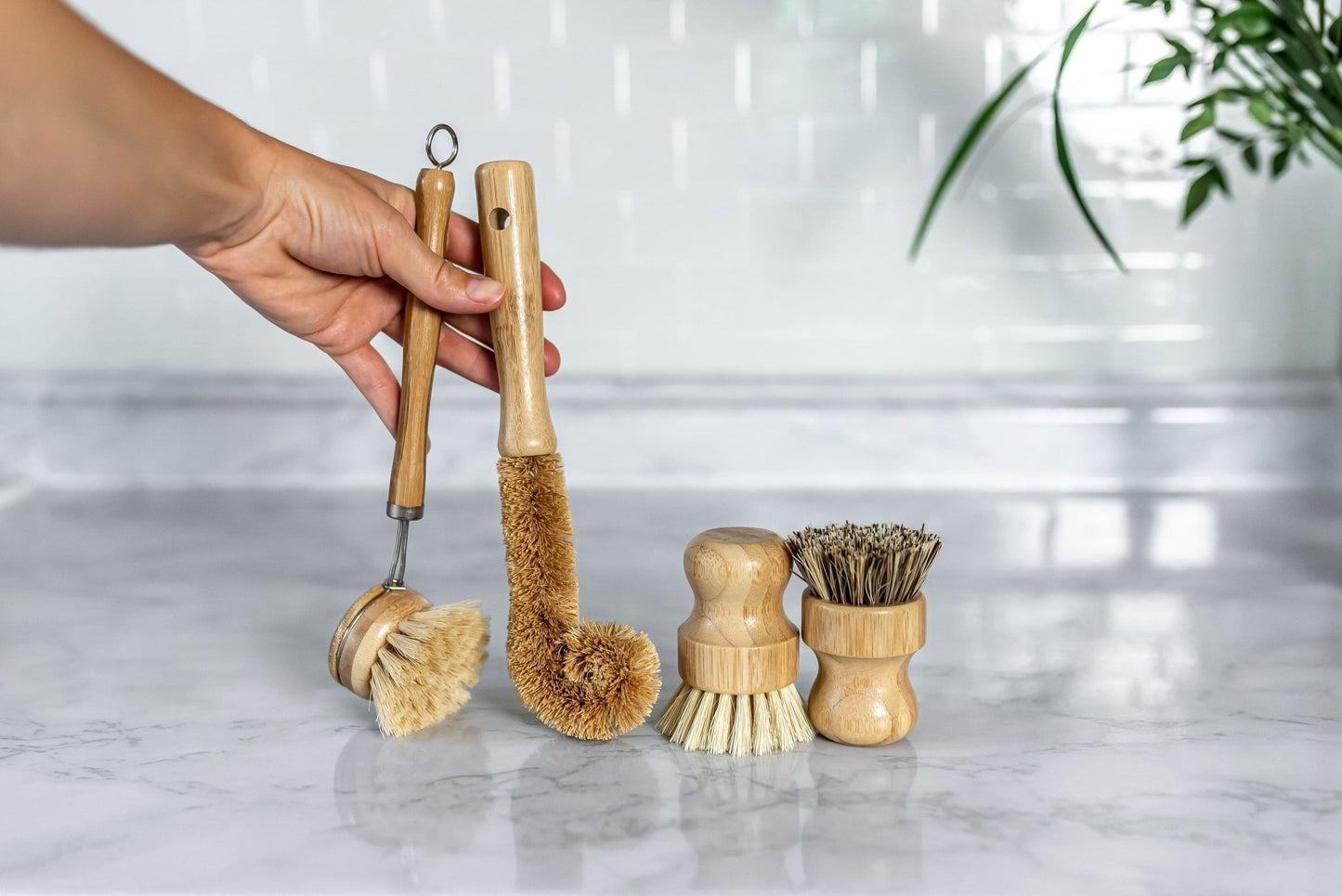 Kitchen Dish Brushes  Eco & Wooden Dish Brushes – The Oxford Brush Company